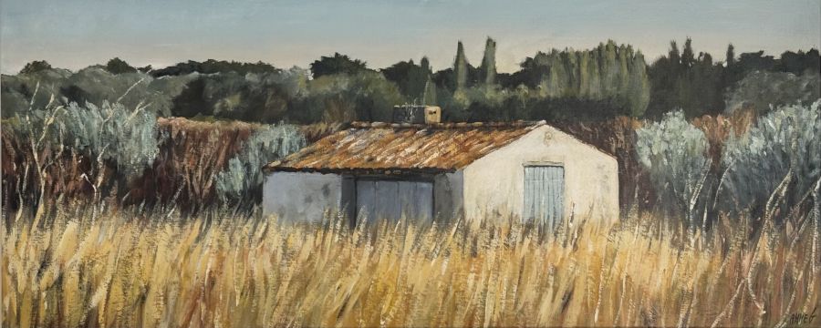 Image de la semaine